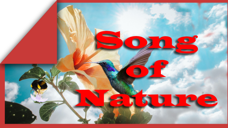 poem on savan for nature